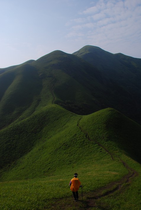 DSC_0613.jpg