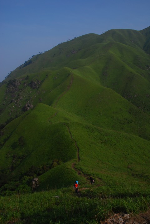 DSC_0619.jpg