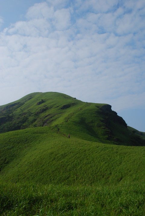 DSC_0620.jpg