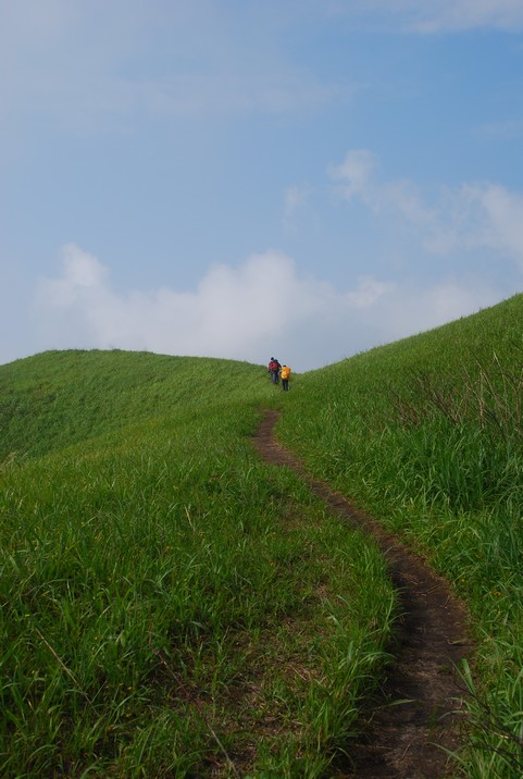 DSC_0654.jpg