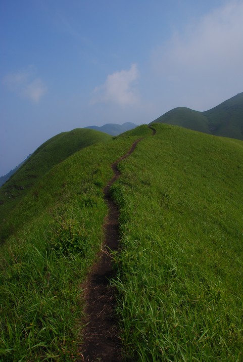 DSC_0665.jpg
