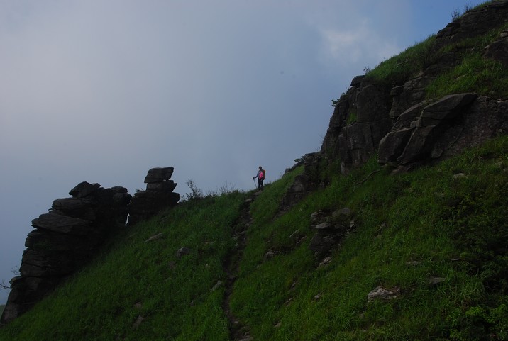 DSC_0676.jpg