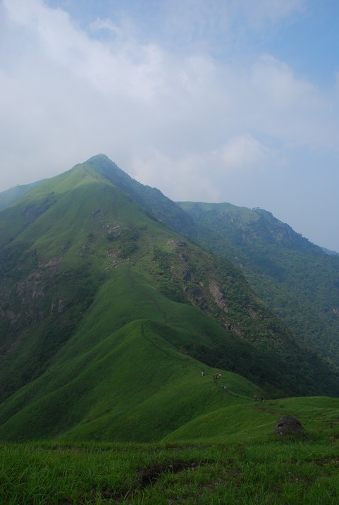 DSC_0712.jpg