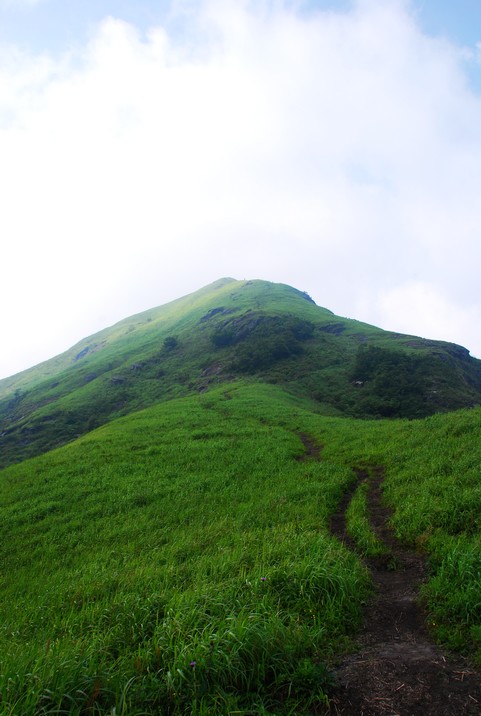 DSC_0723.jpg