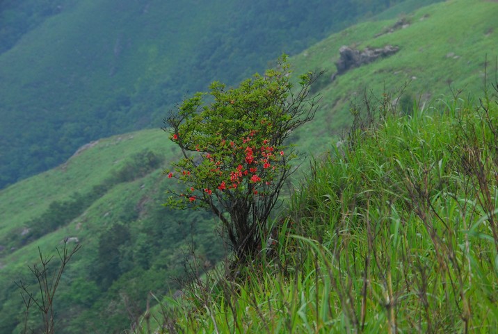 DSC_0749.jpg