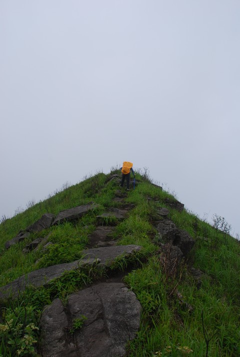 DSC_0752.jpg