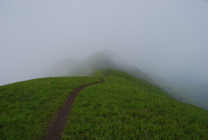 DSC_0768.jpg