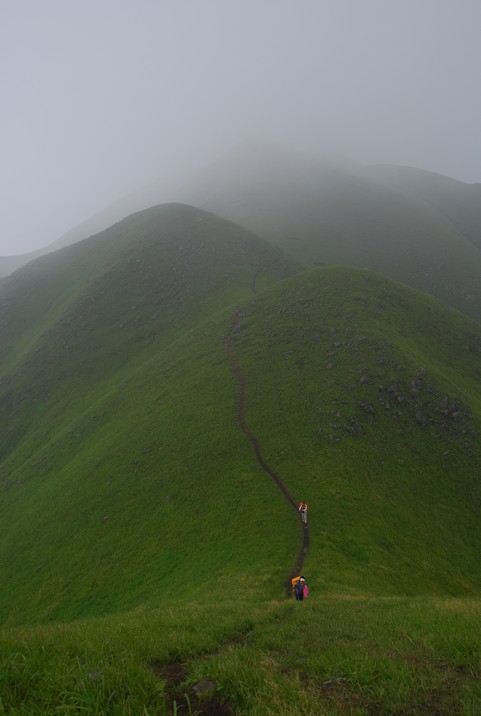 DSC_0769.jpg