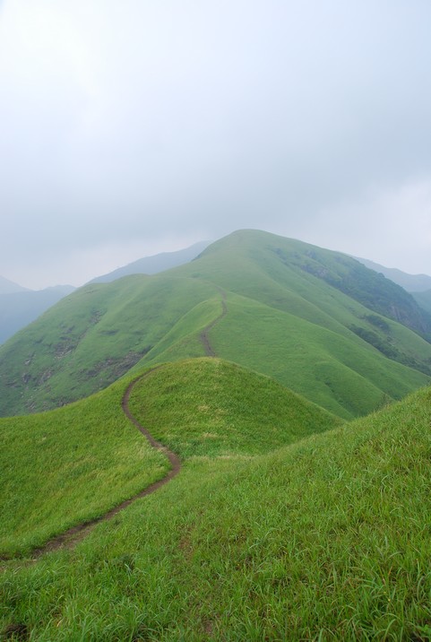 DSC_0778.jpg