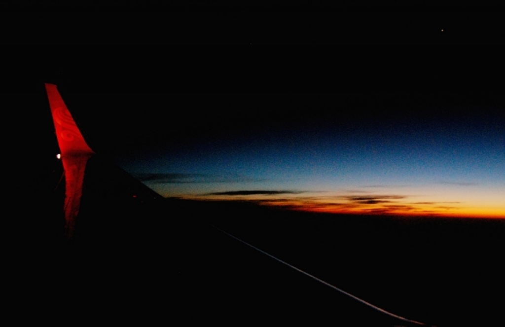 DSC_0529ppp.jpg
