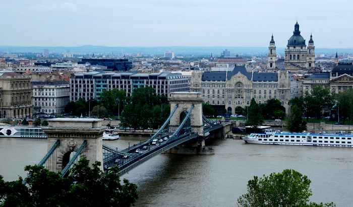 DSC_0802.jpg