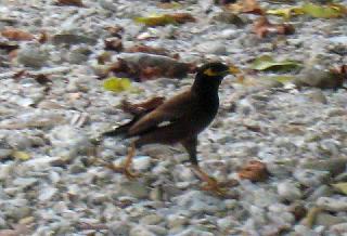 IMG_3759.jpg