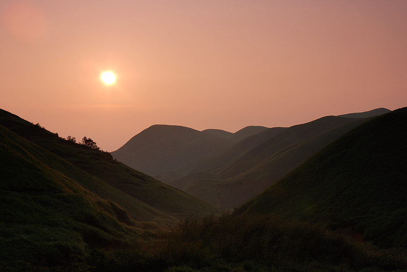 DSC_0654.jpg