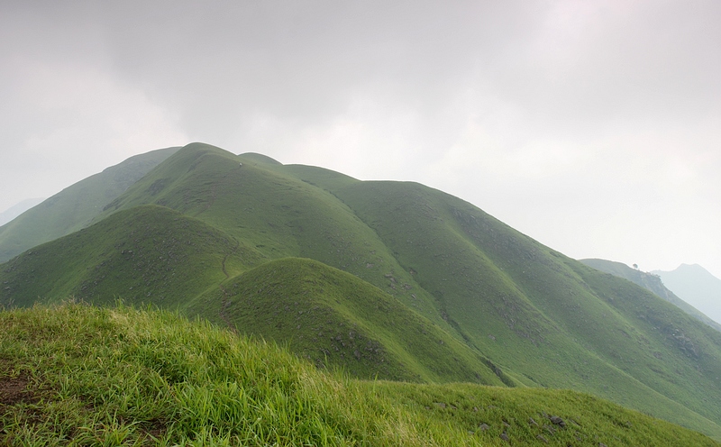 DSC_0754.jpg