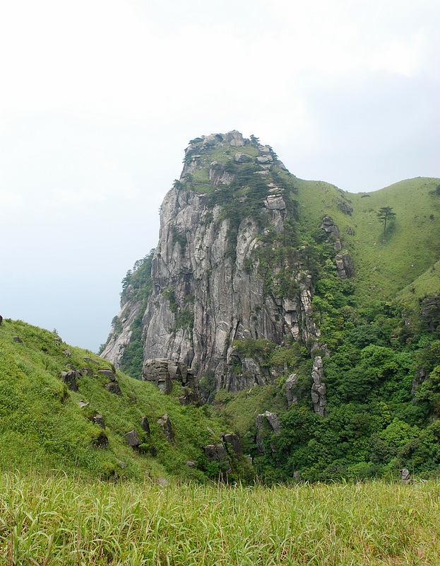 DSC_0768.jpg