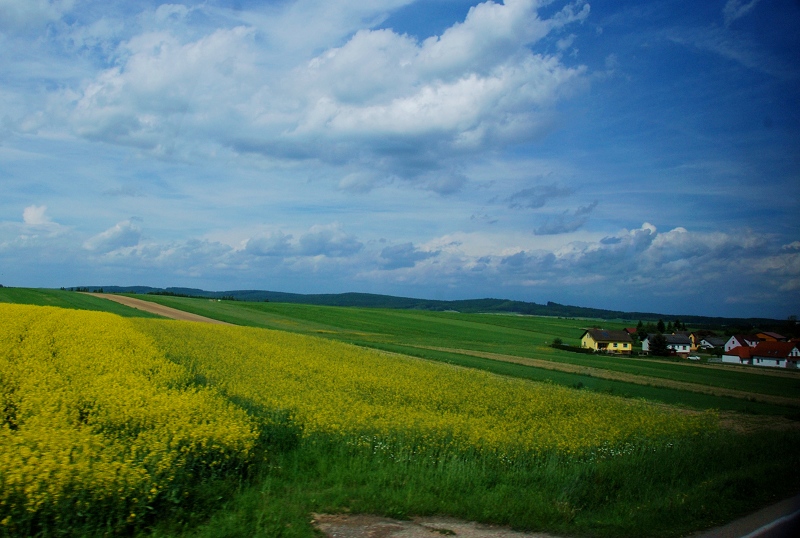 DSC_1403.jpg