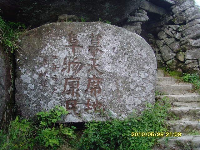 SNV32677.JPG
