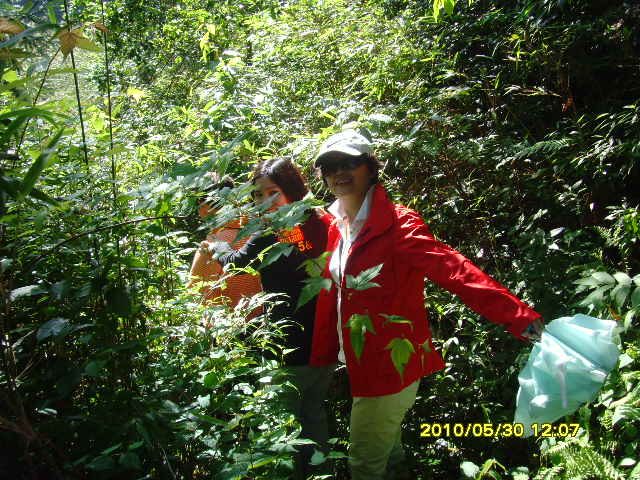 SNV32716.JPG