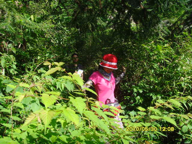 SNV32720.JPG