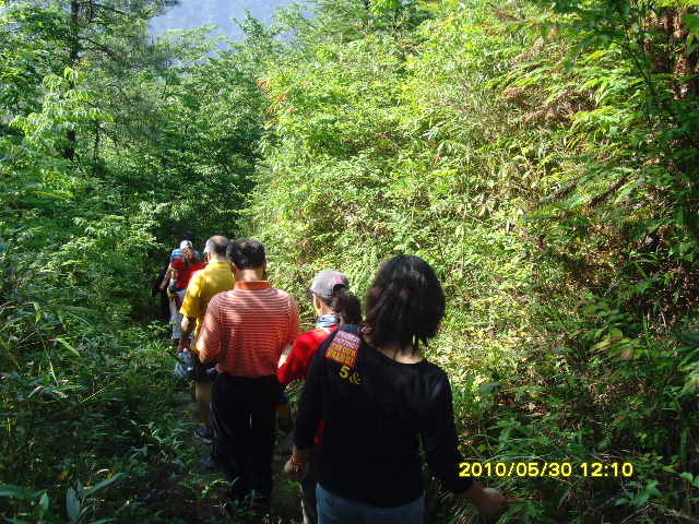SNV32721.JPG