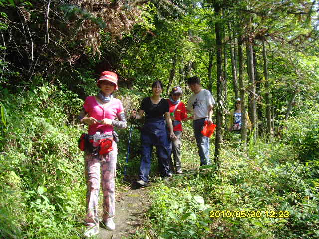 SNV32723.JPG