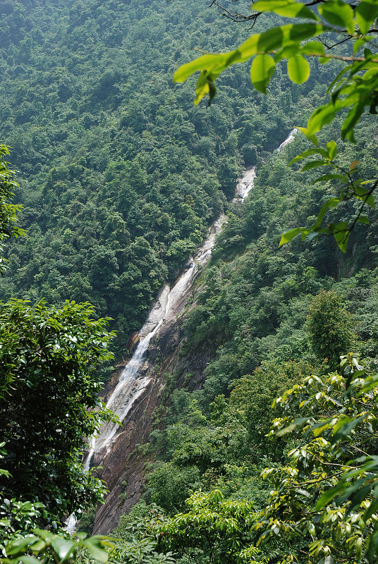 DSC_0492.jpg