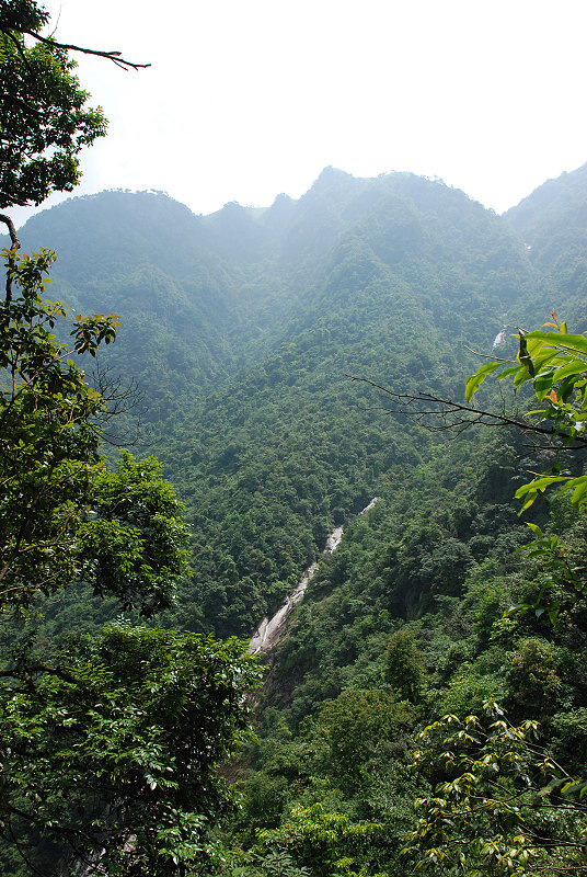 DSC_0493.jpg