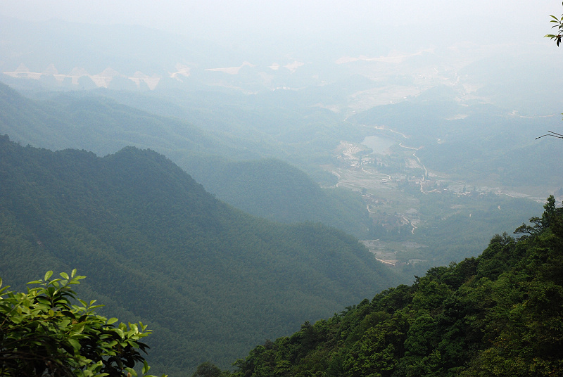 DSC_0518.jpg