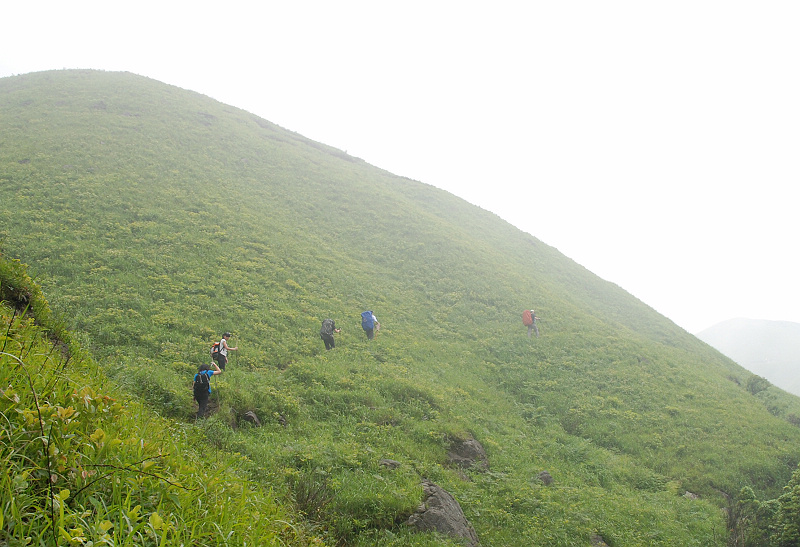 DSC_0538.jpg
