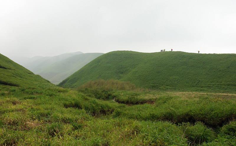 DSC_0549.jpg