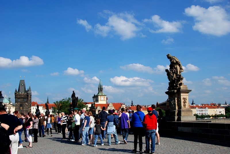 DSC_0771.jpg