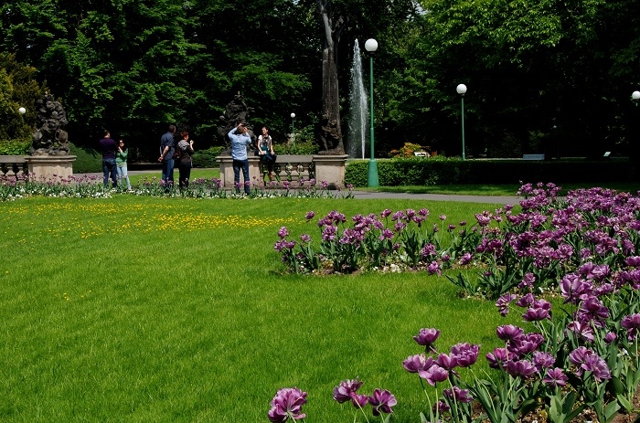 DSC_1536.jpg