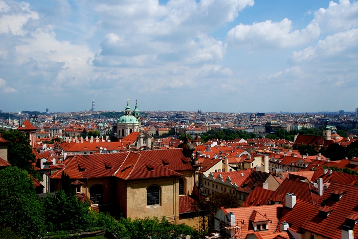 DSC_1569.JPG