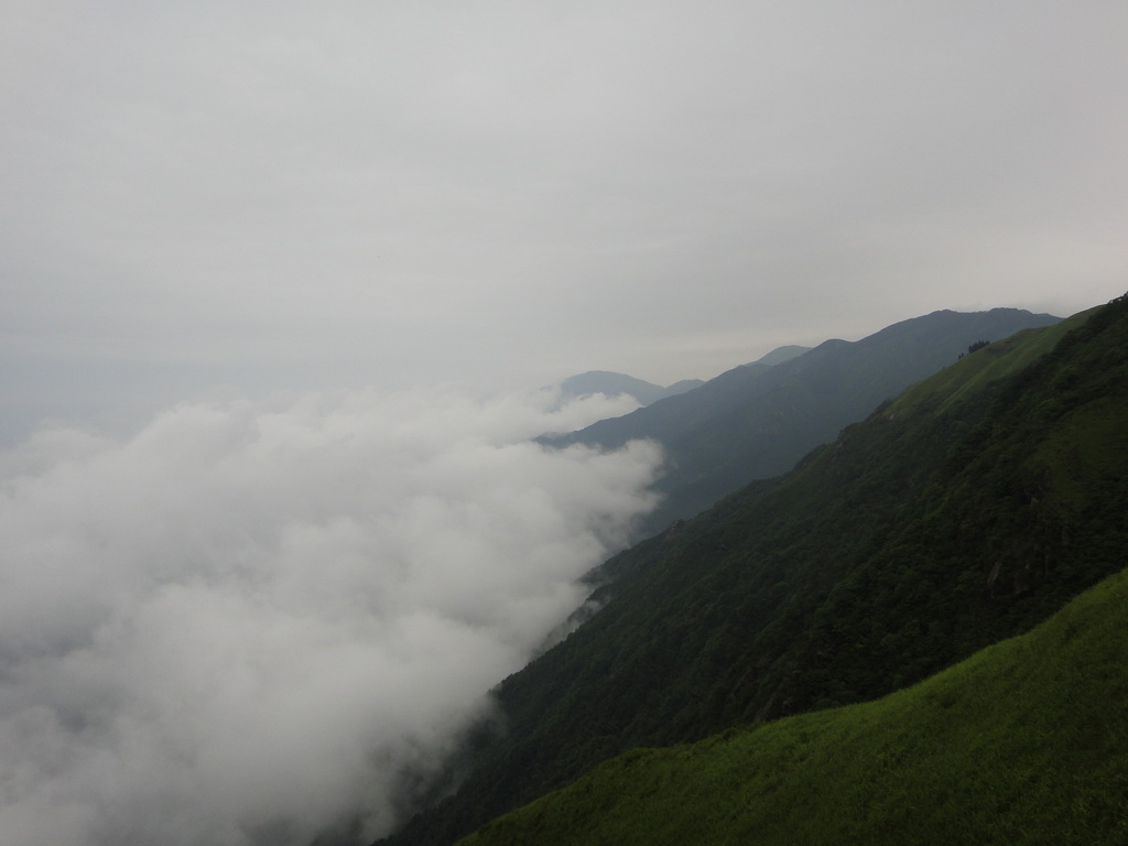 DSC00607.jpg