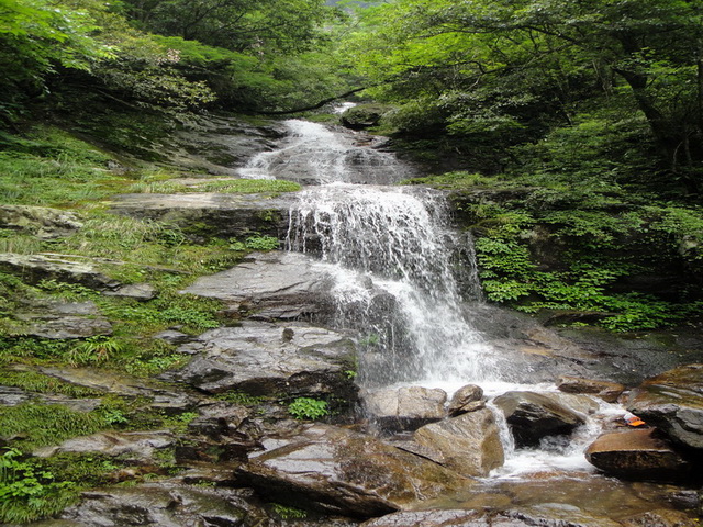 DSC00780.jpg