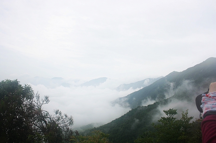 jiaIMG_0827.jpg