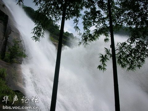 200906021553169951-162858.jpg