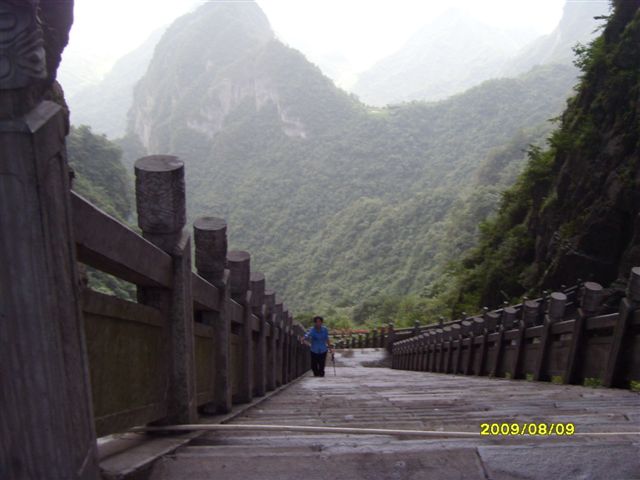 SDC11635.JPG