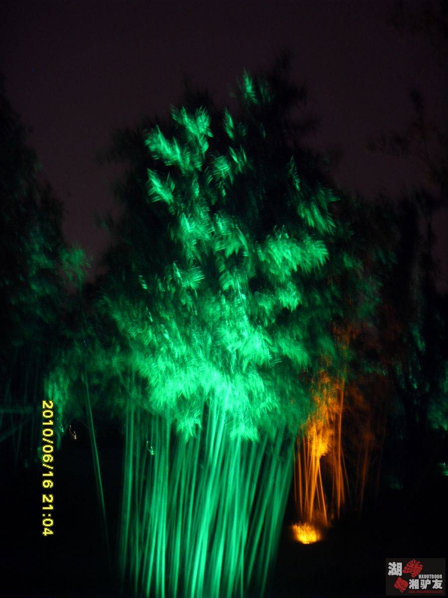 SDC14751.jpg