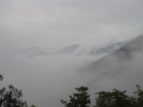 DSC03503i.jpg
