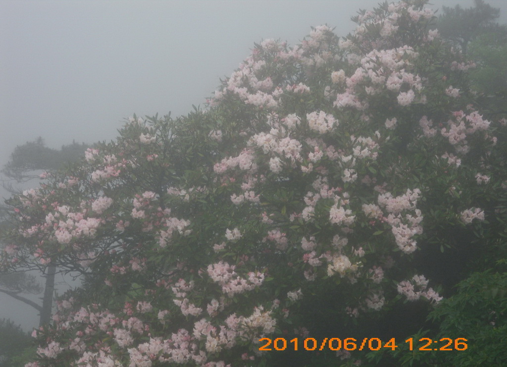 IMG_a069.jpg