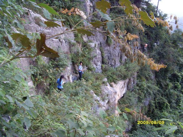 SDC11693.JPG
