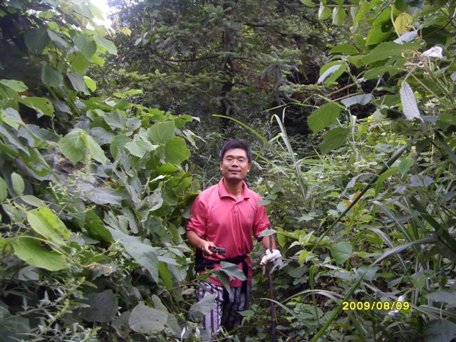 SDC11697.JPG