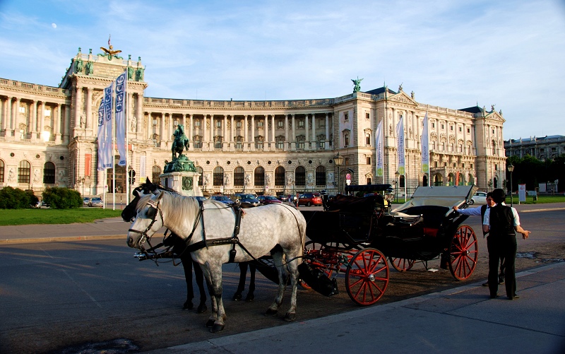 DSC_1520.jpg