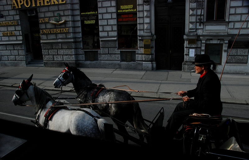 DSC_1450.jpg