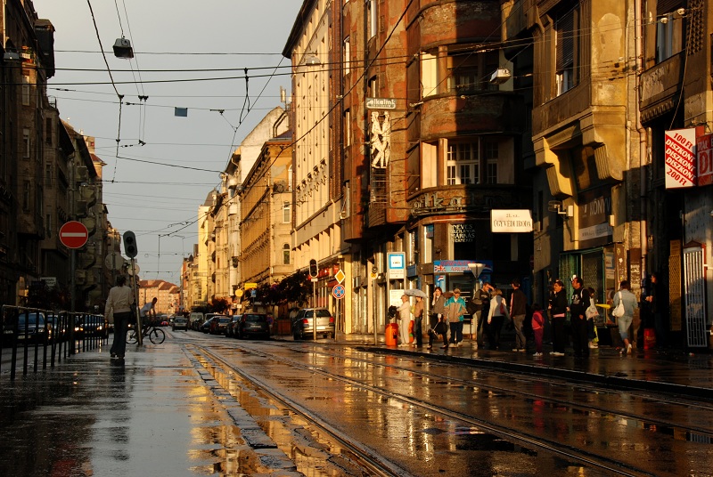 DSC_1722.jpg