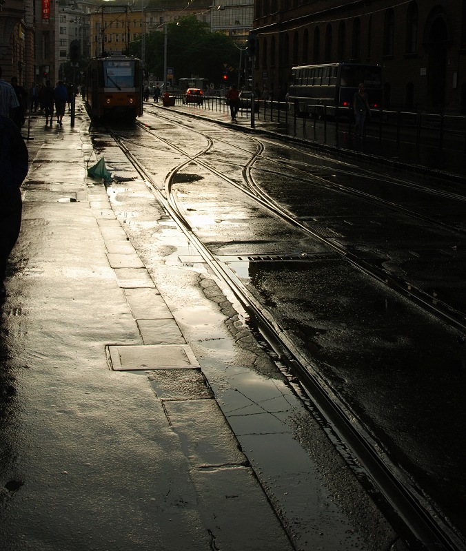 DSC_1731.jpg