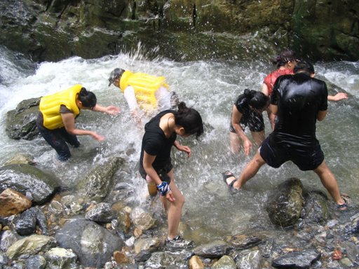 7d5e154d0ccd17848d1a201c0f476da313.jpg