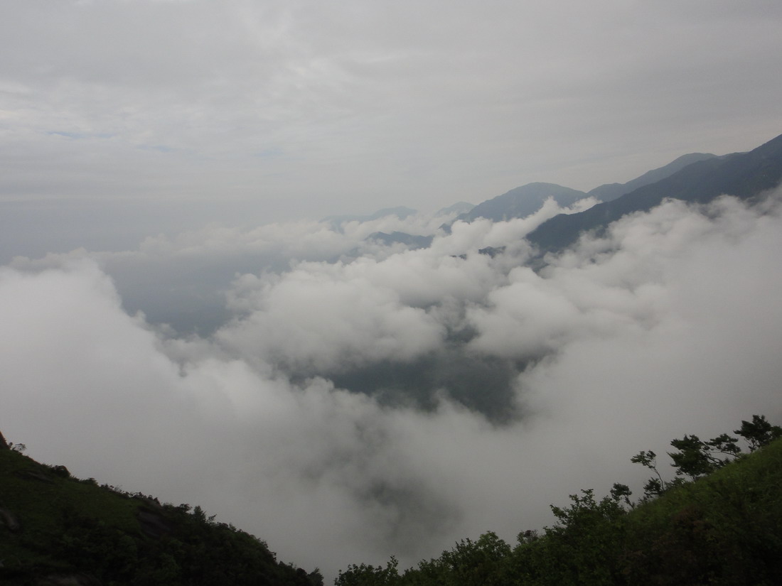 DSC00566.JPG