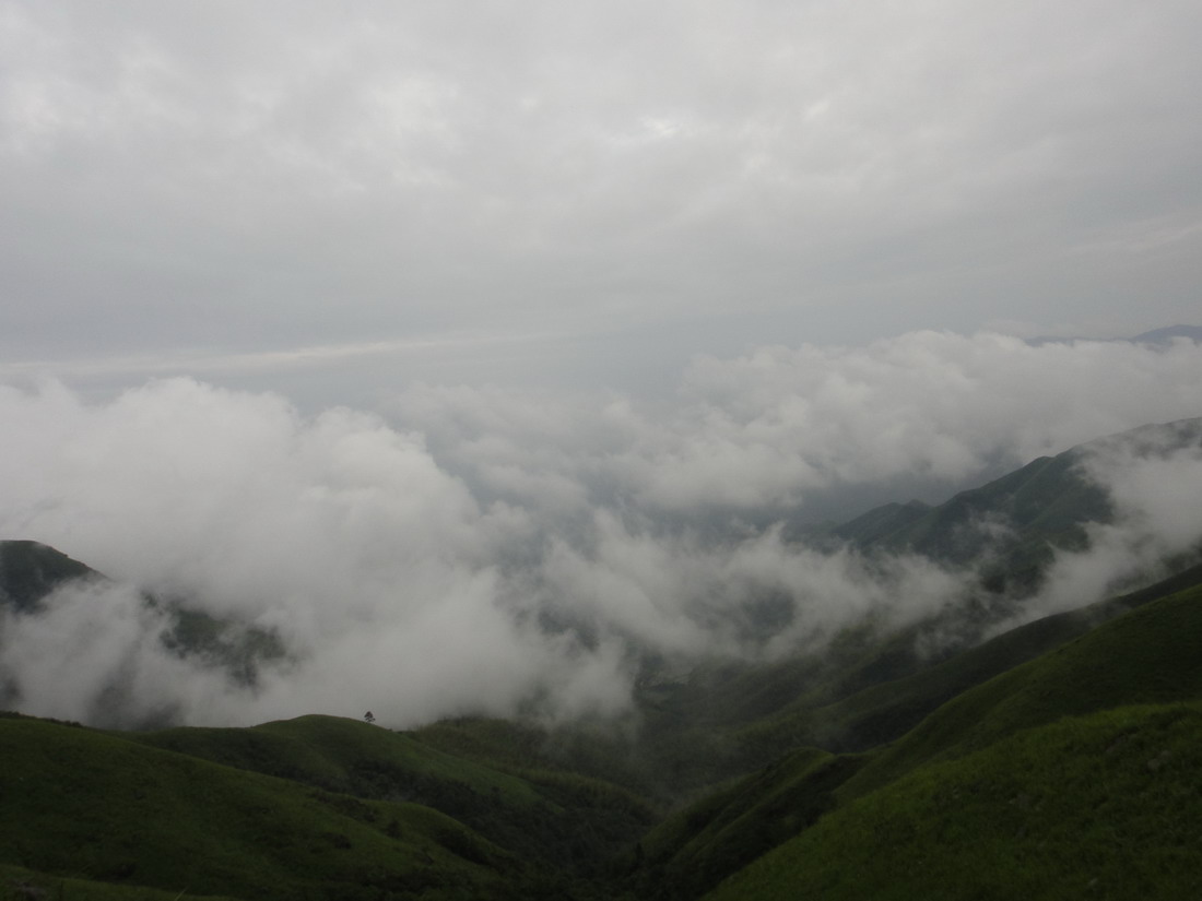 DSC00552.JPG